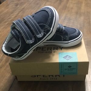 Baby boys sperrys navy blue